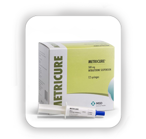 Metricure ( Intrauterine injection )