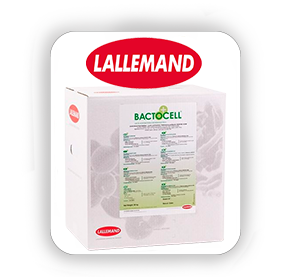 Lallemand Bactocell