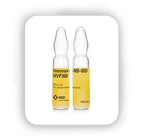 Innovax-ND-IBD
